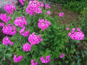 IMG_20260710_193614.jpg