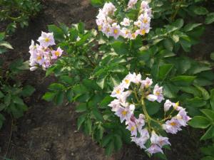 IMG_20260710_193841.jpg