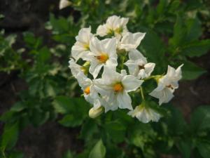 IMG_20260710_193903.jpg