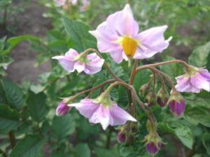 IMG_20260710_193934.jpg