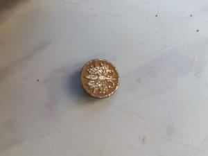 IMG_20260730_170340.jpg
