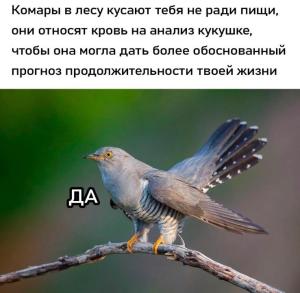 IMG_2296.jpeg