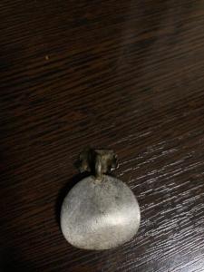IMG_7318.jpeg