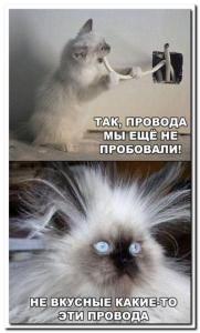 a951a69bd4620a753f0dbc7e55c01396.thumb.jpg.11392da782c7e8f0ec3d9a653b3f4382.jpg