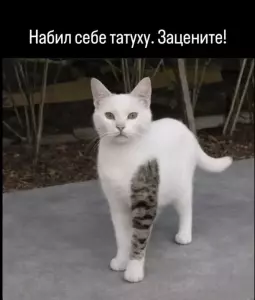 eaddmW_0pgyKSDPmd0EUNZoWBAcpZIfHAMPTnkptQpFcdvOpAgqshfGUwehf3PQDehiAk1X-iW3Ls2RjGRmaKPwo.thumb.jpg.63c20b6dfe4c671f9243a783fccf2c4a.jpg