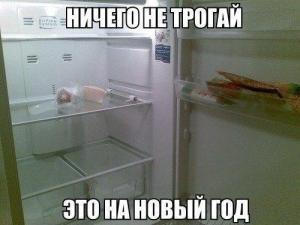 funny-grizly-club-nfzc-p-memi-pustoi-kholodilnik-23.thumb.jpg.aa41b223ee264f1f19591e2048770cf5.jpg