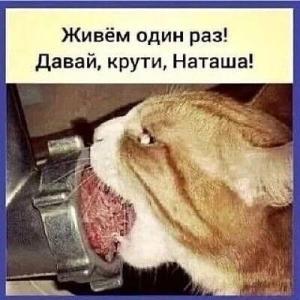 nzGWLNxvK0w.thumb.jpg.22252d61edb806efe7c2ccd960a29287.jpg