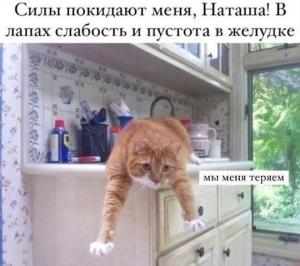 o00UJFa-51E.thumb.jpg.a54d4dfc0503e0e0df80ec063e01f250.jpg