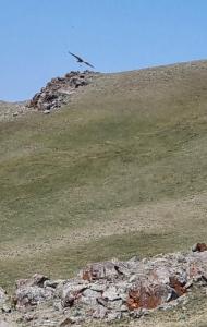 20260802_101741.thumb.jpg.30cf14cbf7118aeb039edff446444568.jpg
