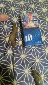 IMG-20260807-WA0049.jpeg