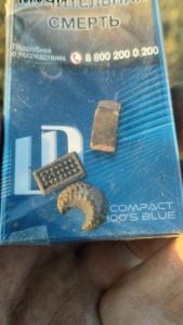 IMG-20260813-WA0017.jpeg