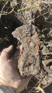 IMG-20260814-WA0008.jpeg