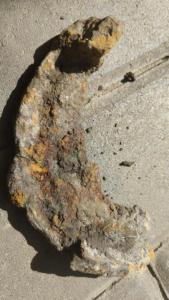 IMG-20260814-WA0016.jpeg