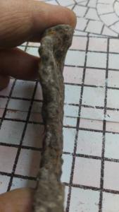IMG-20260814-WA0024.jpeg