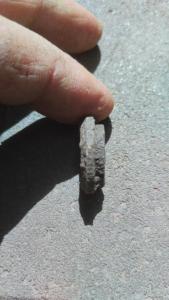 IMG-20260814-WA0032.jpeg