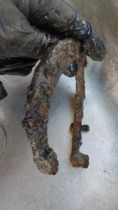 IMG-20260819-WA0026.jpeg
