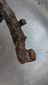 IMG-20260819-WA0032.jpeg