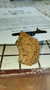 IMG-20260819-WA0044.jpeg