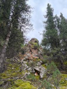 IMG-20260824-WA0041.thumb.jpg.a76c66a5d5bbd61b7a64ac861967482c.jpg