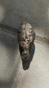 IMG-20260825-WA0026.jpeg