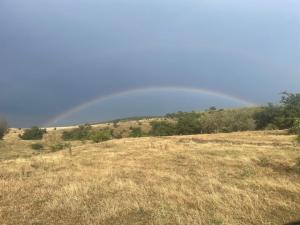 IMG_1002.jpeg