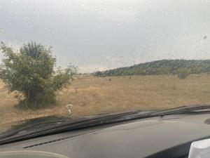 IMG_1005.jpeg