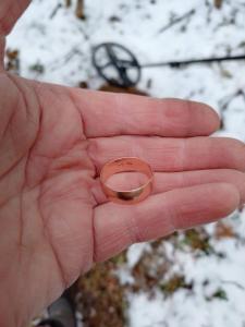 IMG_20250410_163629.thumb.jpg.069adbeb7a5ae609546a5e9e48a2fe8e.jpg
