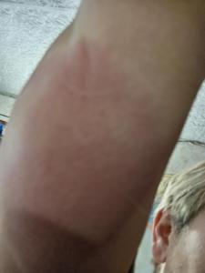 IMG_20260625_092411.thumb.jpg.6707b6b44fabda6ab79a423625dbc6d6.jpg