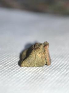 IMG_20260810_104455.jpg