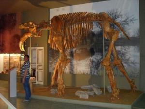 IMG_20260815_101513.jpg