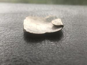 IMG_9762.JPG