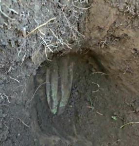 Screenshot_20260827-205058_Gallery.thumb.jpg.d2cf3389d5ef4411a9085cb56dd609c3.jpg