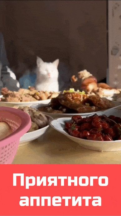 otkrytka-1211.thumb.gif.42b5698a9aecc892e06ded69ff18048e.gif