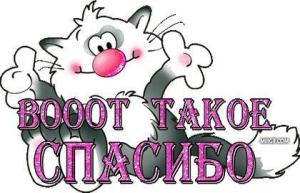 vooot-takoe-spasibo.thumb.jpg.368ad5963e00b1e1a82cc398a19ae42c.jpg