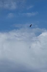 20260919_084950.thumb.jpg.54435a23035cff9ae8c2c534c2abb916.jpg