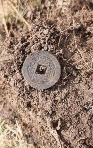 20260919_125229.thumb.jpg.f4318310be39e5d1fe8f6ff9c6c690b9.jpg
