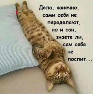 633c87f927094dce20c86723a5a7616e.thumb.jpg.505a71b2f3e169a6dda26cecec19c218.jpg