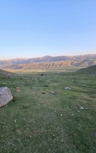 IMG-20260830-WA0142.thumb.jpg.f490f019c138731f9bdf095aa2a4cc28.jpg