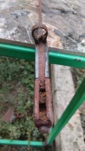 IMG-20260902-WA0006.thumb.jpeg.d0be62710e9f367a4e8fc2f72dd0d027.jpeg