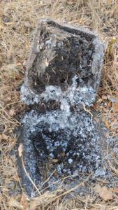 IMG-20260906-WA0028.jpeg