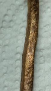 IMG-20260930-WA0055.jpeg