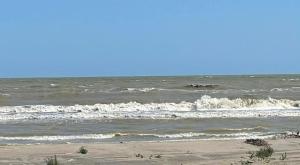 IMG_1053.jpeg