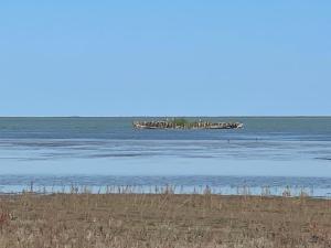 IMG_1092.jpeg