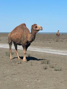 IMG_1095.jpeg