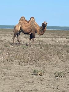 IMG_1097.jpeg