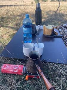 IMG_1104.jpeg