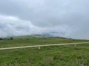 IMG_1139.jpeg