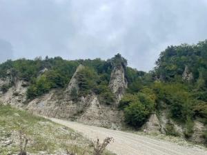 IMG_1153.jpeg