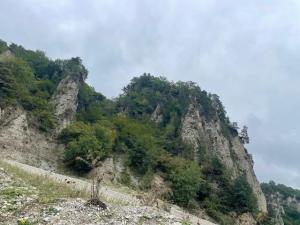 IMG_1154.jpeg
