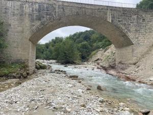 IMG_1166.jpeg